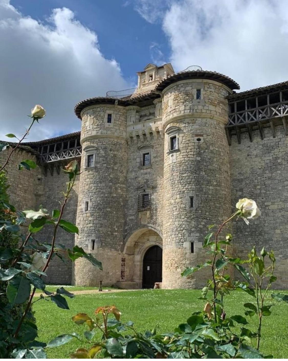 Puechblanc Gites Et Chambre D'Hote Dans Le Triangle D'Or Gaillac-Albi-Cordes Sur Ciel Fayssac Экстерьер фото