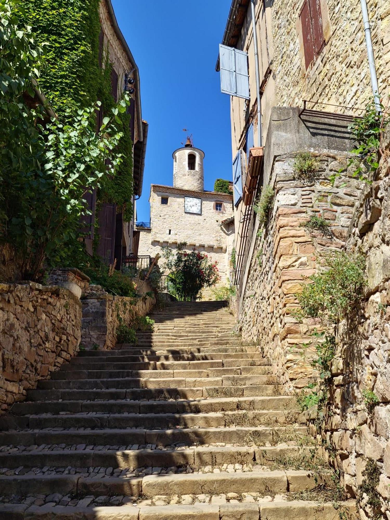 Puechblanc Gites Et Chambre D'Hote Dans Le Triangle D'Or Gaillac-Albi-Cordes Sur Ciel Fayssac Экстерьер фото
